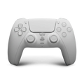 PS5 controller customiser tool