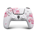 PS5 customiser testing
